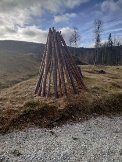 Vårdkase av timmerstockar som står uppresta mot varandra med jordvallen runt Långå Skans i bakgrunden.